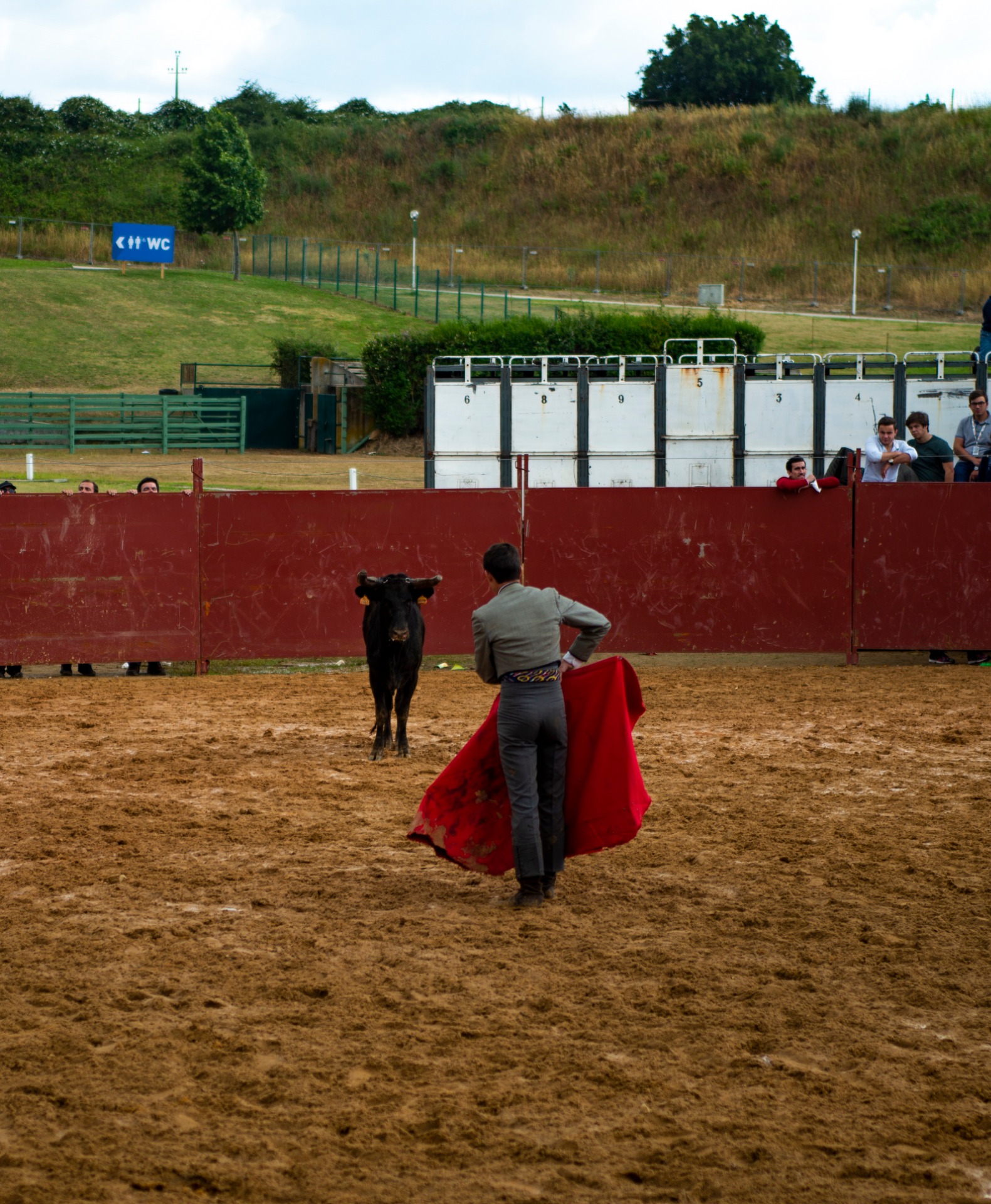 AS TOURADAS